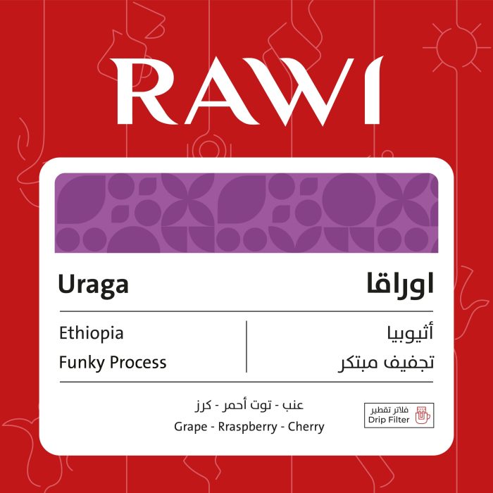 Uraga 5 Drip Filters - Image 1